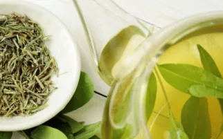 Green Tea Leaf Extract — ingredient in NeuroZen